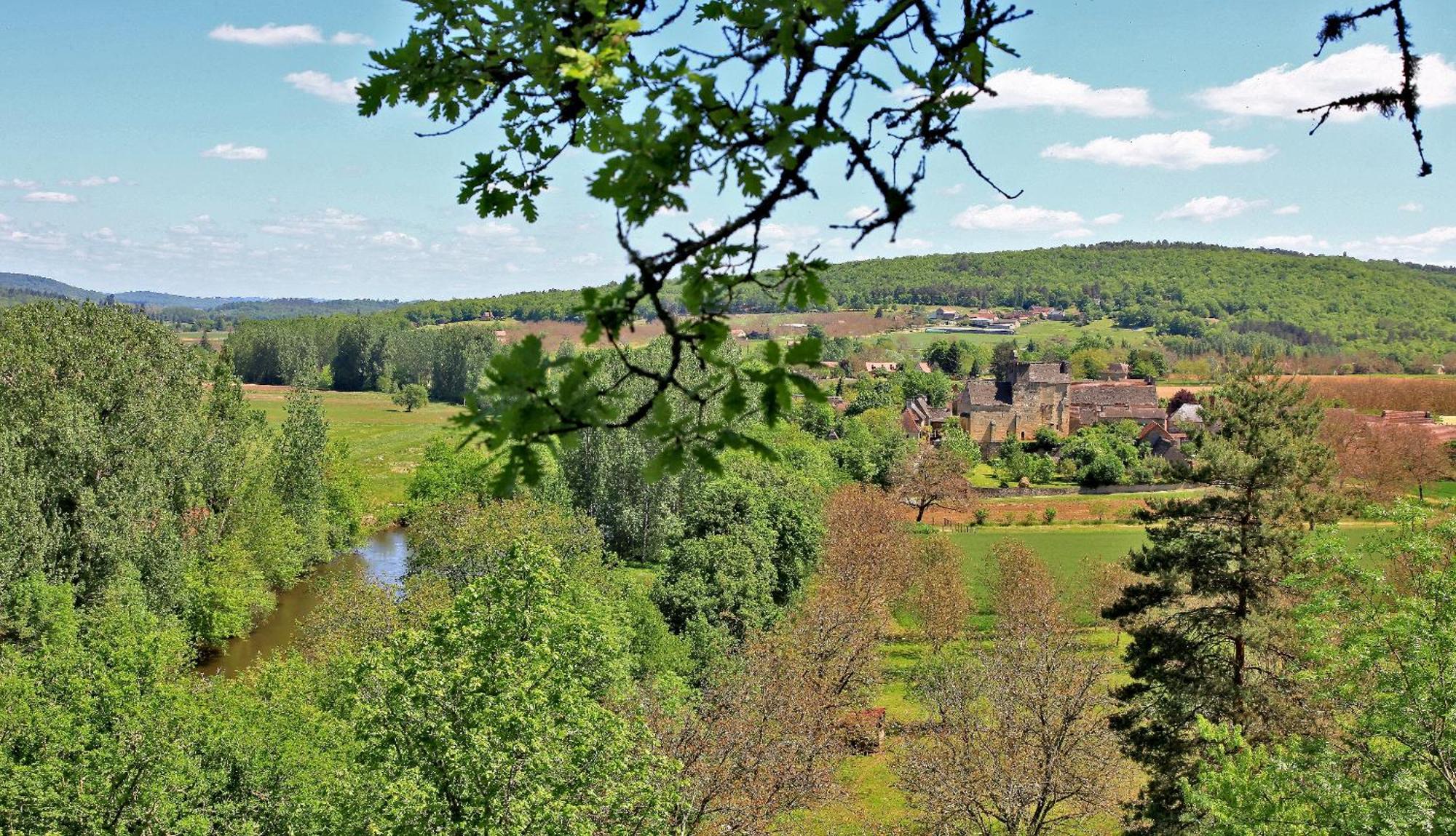 Auberge De Castel-Merle Sergeac Esterno foto