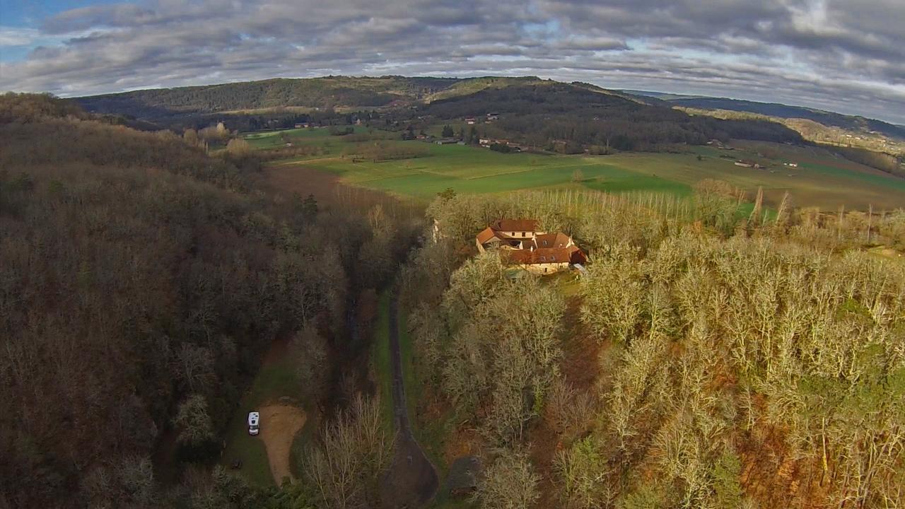 Auberge De Castel-Merle Sergeac Esterno foto