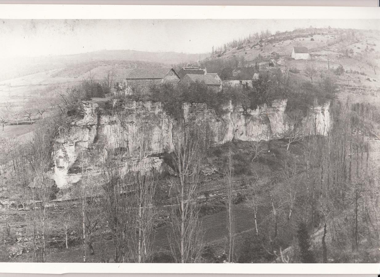 Auberge De Castel-Merle Sergeac Esterno foto