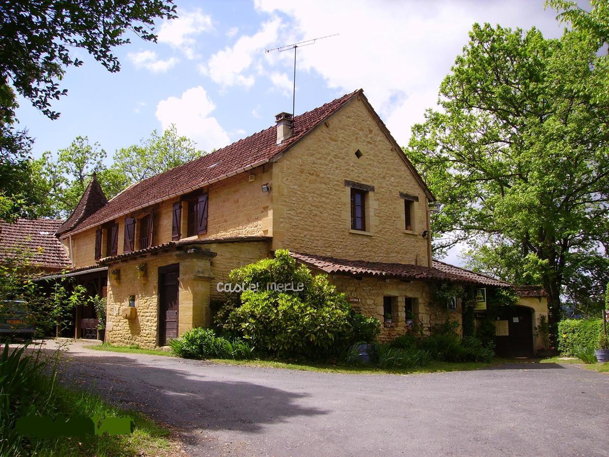 Auberge De Castel-Merle Sergeac Esterno foto
